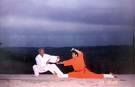 kungfu